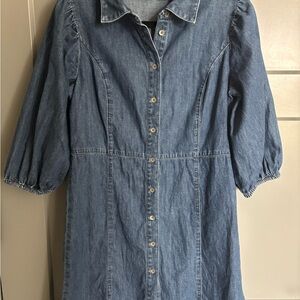 GAP Indigo Long Sleeve Denim Dress